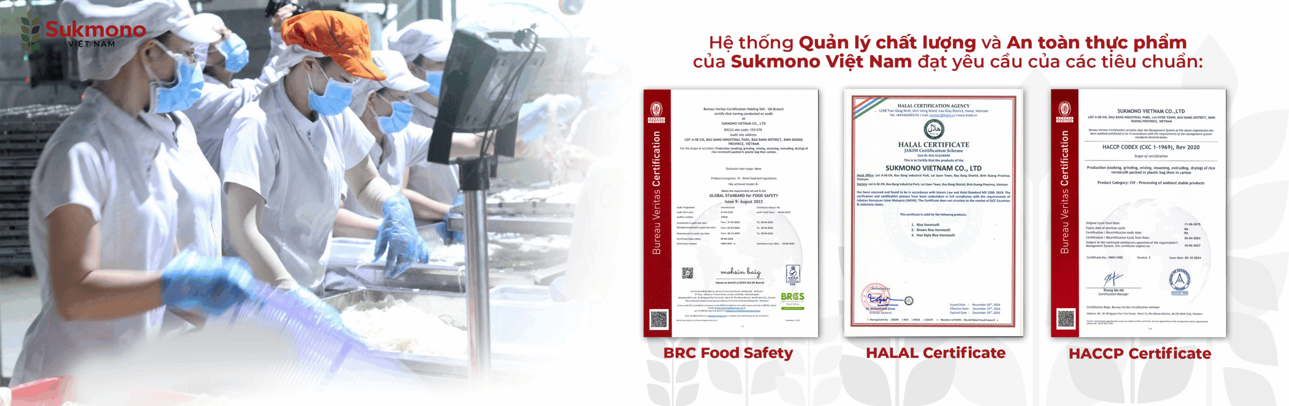Trang chủ 3 BANNER WEB 31-1